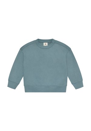 Sweatshirt en coton bleu-vert doux. Il présente des manches longues, des poignets côtelés et un col rond, avec un tissu texturé et sans motifs.