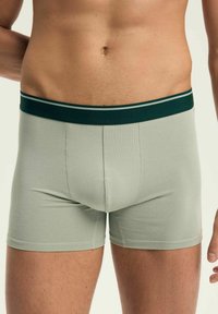 Jasnozielone bawełniane slipy z kontrastującą ciemnozieloną gumką, ozdobioną dwoma białymi paskami. Gładka tekstura i dopasowany krój.