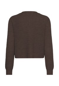 Brauner, kürzer geschnittener Pullover mit einem texturierten Strickmuster, langen Ärmeln und einem runden Ausschnitt, der ein schlichtes und lässiges Design zeigt.