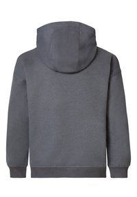 Grijze hoodie met een grote capuchon, gemaakt van zachte stof. Voorzien van ribbels aan de mouwen en de zoom. De achteraanzicht toont een gladde textuur en strakke lijnen.