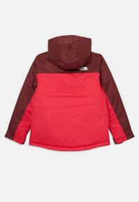 Červená a tmavá marhuľová mikina s kapucňou a dlhými rukávmi, na hornej časti chrbta s logom The North Face.