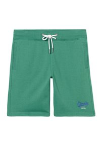 Pantalones cortos deportivos verdes con cintura ajustable, bolsillos laterales y un logotipo morado en el lado inferior izquierdo. Textura de tela suave.