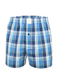 Men's loose-fit plaid boxer shorts with a blue, white, green, and red check pattern and elastic waistband with a center button fly.