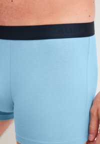 Lichtblauwe katoenen boxershorts met een marineblauwe elastische tailleband met reliëfbranding. Soepele textuur, aansluitend ontwerp en naadloze zijkanten.