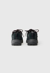 Schwarze und dunkelgrüne Wanderschuhe mit Obermaterial aus Wildleder und Mesh, strukturiertem Gummi-Sohle und roten sowie schwarzen Schnürsenkeln. Rückansicht, leichtes Design.