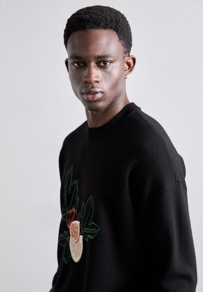 Pull en tricot noir avec un design floral brodé en dominante de verts, rouges et beiges. Texture douce, style col rond.