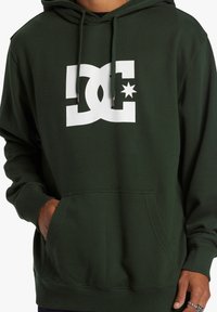 DC Shoes STAR PH - Jersey con capucha - gzh0 mountain view