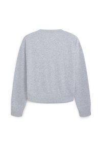Felpa grigia corta con maniche lunghe, scollo rotondo e un tessuto morbido e texture. Il retro è privo di decorazioni e ha un design semplice.
