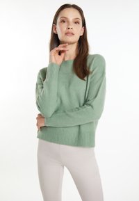 Minzgrüner, gestrickter Pullover mit lockerer Passform, gerippten Säumen und Bündchen, getragen über hellen, enganliegenden Hosen. Glatte Textur, lässiger Stil.