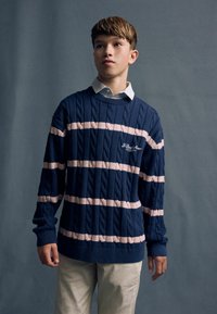 Pull en maille bleu marine avec des rayures horizontales roses et un motif en torsades. Porté par-dessus une chemise blanche à col.