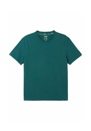 FatFace, REGULAR FIT - TSHIRT  . - T-shirts basic - teal blue