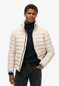 Superdry & Co FUJI PRINTED PADDED - Vinterjakker - chateau gray