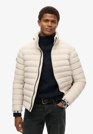Superdry & Co FUJI PRINTED PADDED - Chaqueta de invierno - chateau gray