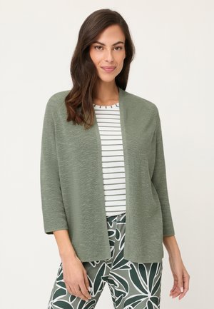 Giovane donna che indossa un cardigan verde chiaro aperto davanti, una camicia a righe bianche e verdi e pantaloni verdi a fantasia, in piedi davanti a uno sfondo semplice.