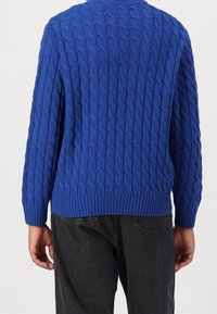 Blauer Strickpullover mit Zopfmuster, gerippten Bündchen und Saum sowie Rundhalsausschnitt, Rückansicht.