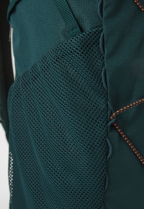 HIKE 20L - Rucksack - aurora ivy4