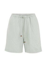 Shorts - mint green