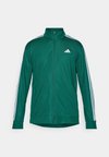 TRAIN ESSENTIALS 3-STRIPES  HOODED - Trainingsvest - collegiate green
