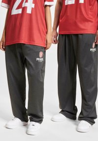 DEF EUROPEAN LEAGUE PRAGUE LIONS - Joggebukse - antracite