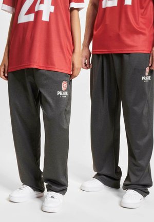 EUROPEAN LEAGUE PRAGUE LIONS - Joggebukse - antracite