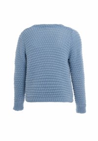Lichtblauwe gebreide trui met een textuurpatroon, lange mouwen en een ronde halslijn. De achterkant heeft een naadloos ontwerp.