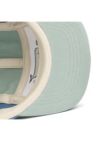 Cap featuring a light green crown and a blue brim, with a beige interior lining depicting a whale illustration. Stitched detailing is visible.