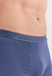 Close-up of a man's lower torso wearing blue boxer briefs with a branded waistband showing light body hair and skin texture.