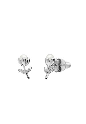 Oorbellen - silver coloured