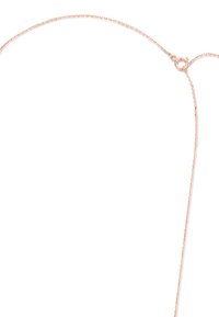 Delicate rose gold chain necklace with a smooth, thin design and a secure lobster clasp for fastening.