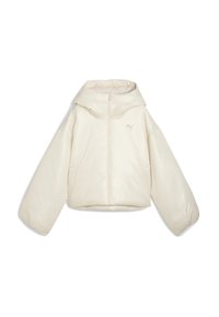 WARDROBE ESS SHINY HOODED - Veste d'hiver - alpine snow