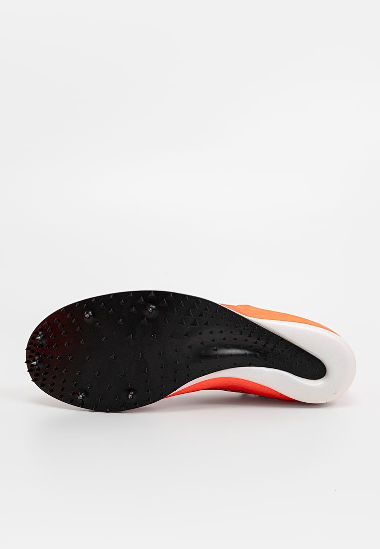 UMDELR V2