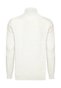 Pull beige clair avec un col haut et des accents côtelés, présentant des manches longues et un tissu doux et texturé. Vue arrière montrée.