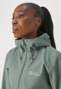 Jack Wolfskin WEILTAL - Veste Hardshell - hedge green