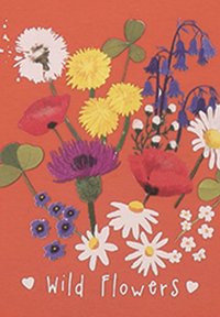 Colorful floral illustration on orange background featuring daisies, poppies, and other wildflowers, with text "Wild Flowers" at the bottom.