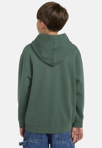 Element CORNELL 3.0  - Hoodie - tkr