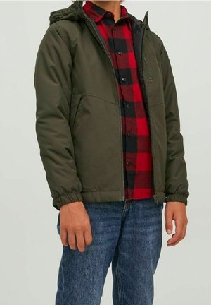 Person iført grøn hættetrøje over rød og sortternet skjorte med blå jeans, stående mod en ensfarvet baggrund.