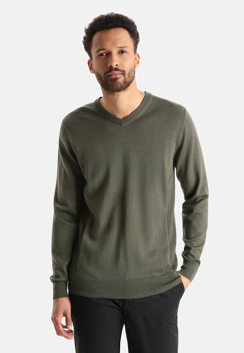 Icebreaker 100 MERINO SHEARER V SWEATER JUMPER LODEN Strickpullover