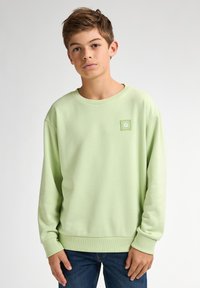 Lichtgroene sweatshirt van zacht materiaal, met een ronde hals, lange mouwen en een klein logo-opstiksel op de borst. Regular fit.