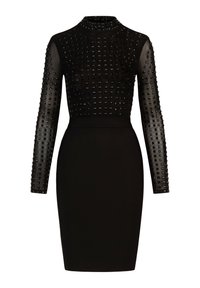 Czarna sukienka z długimi, przezroczystymi rękawami ozdobionymi teksturą, dopasowanym krojem i wysokim dekoltem. Proste, eleganckie kształty.