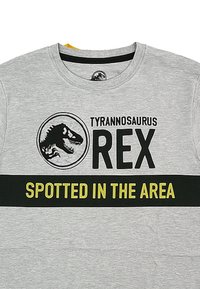 Grau T-Shirt mit einem Grafik des Tyrannosaurus Rex, schwarzer Aufschrift "TYRANNOSAURUS REX" und einem gelben Streifen "SPOTTED IN THE AREA".