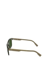 Lunettes de soleil avec une monture grise et des verres verts, dotées de branches droites avec une finition marron et des accents dorés.