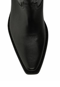 Botte en cuir noir, design à bout pointu, texture lisse, avec des coutures détaillées le long du bord et des éléments décoratifs subtils près du dessus.