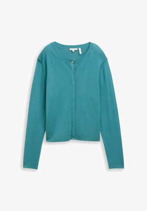 Türkisfarbener Langarm-Cardigan mit rundem Ausschnitt, Knopfleiste vorne, gerippten Bündchen und Saum, gefertigt aus weichem, leichtem Stoff.