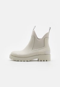 Nem kiválasztott, oyster mushroom