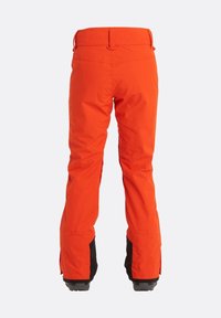 Billabong Snowboardbroek - multi-coloured