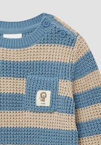 Strickpullover mit horizontalen blauen und beigen Streifen, zwei Knopf-Akkzenten an der Schulter und einem kleinen Löwen-Patch auf der Tasche.