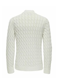 Only & Sons ONSKICKER - Strickpullover - antique white