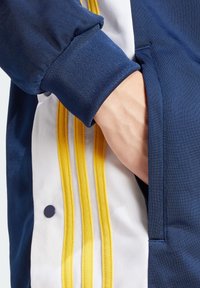 adidas Originals Luvtröja - dark blue