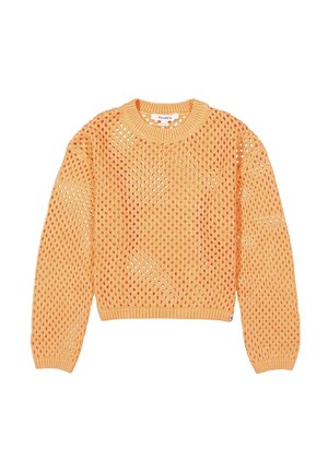 Gehaakte trui in oranje met een open mesh patroon, ronde halslijn en lange mouwen. Ribgebreide zoom en manchetten bieden structuur.