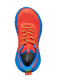 Zapatillas deportivas rojas y azules con parte superior de malla, cordones verdes y una lengüeta a rayas. La suela es redondeada y tiene una superficie texturizada.